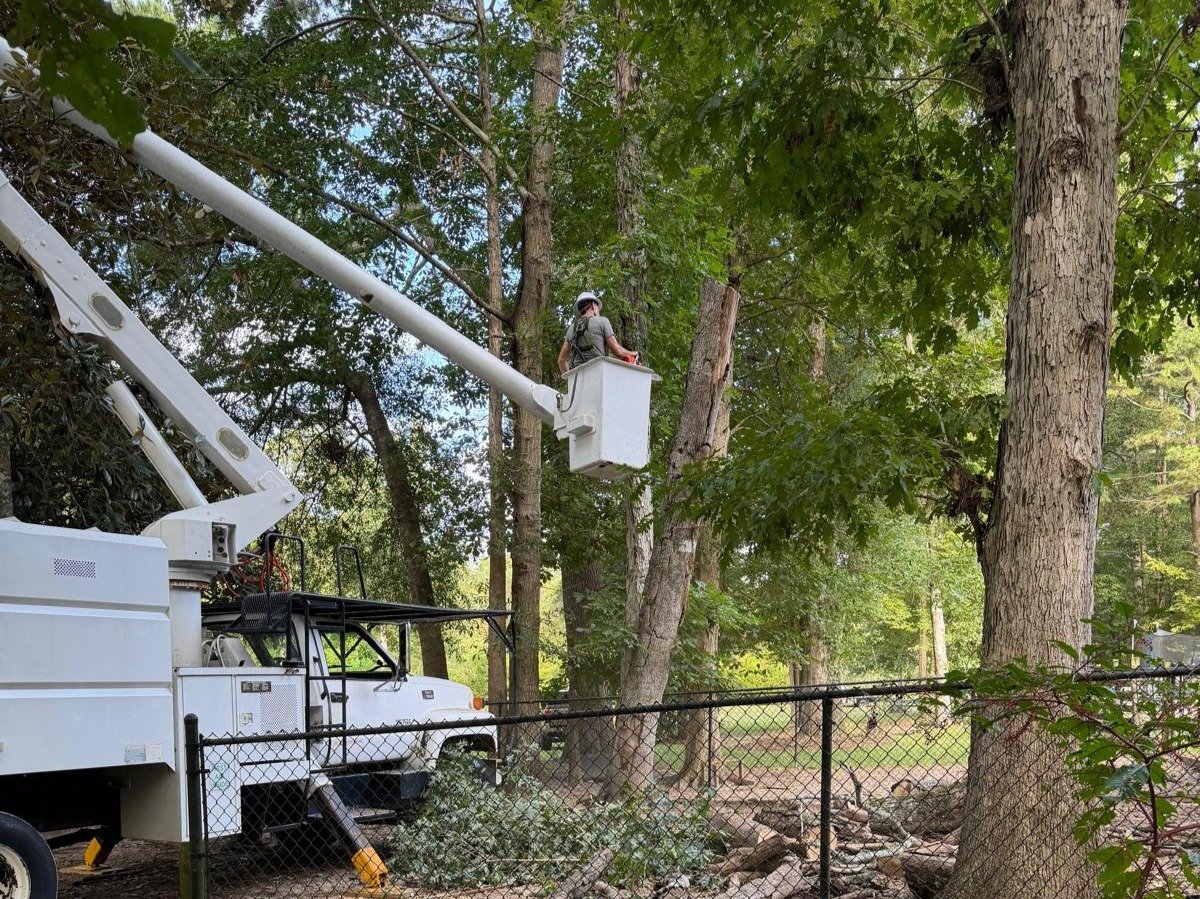 El Costeño Tree Service LLC